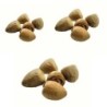Satvik Whole Pooja Supari (Betel Nut whole ) 20 (Pcs) for Prayer and Pooja